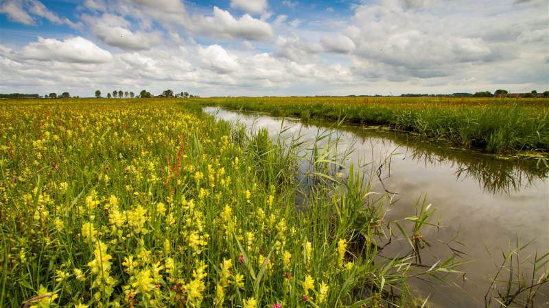 Landschap Noord-Holland zet in op 1 miljoen m2 extra natuur
