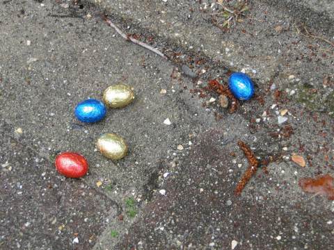 Marker kinderen op zoek naar gouden eieren