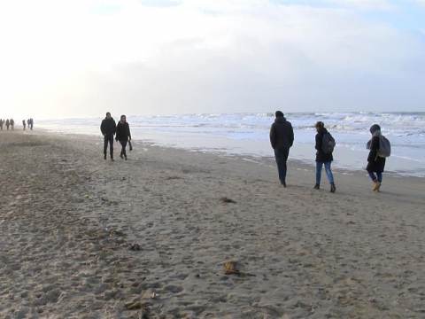 Stichting Vaarwens goede doel van Nieuwjaarsduik Zandvoort