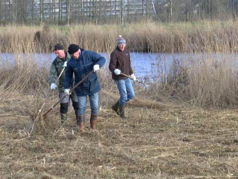 Vrijwilligers Staatsbosbeheer weer actief in Waterlandse natuurgebied