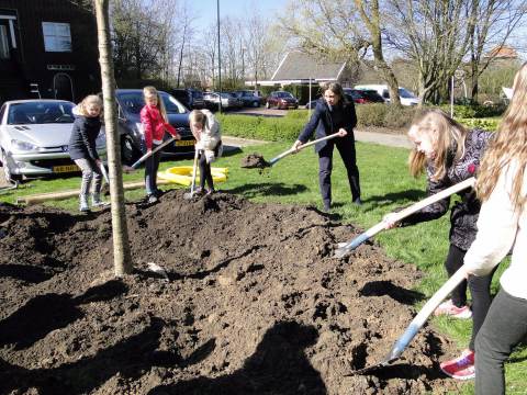 Leerlingen van groep 5 uit Marken planten boom tijdens Boomfeestdag
