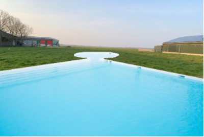 Wereldprimeur: Henri Willig opent zwembad voor Jersey koeien