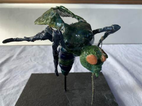Waterlandse Kunstkring exposeert bij thema 'Insecten'