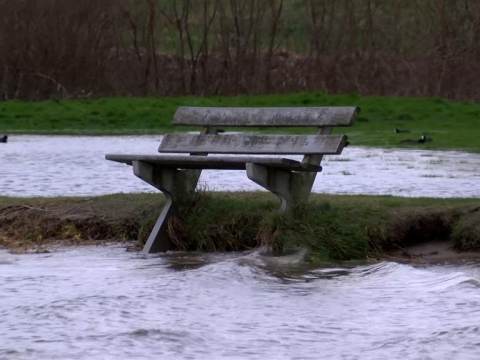 Wateroverlast in Waterland vanwege hoge waterstand